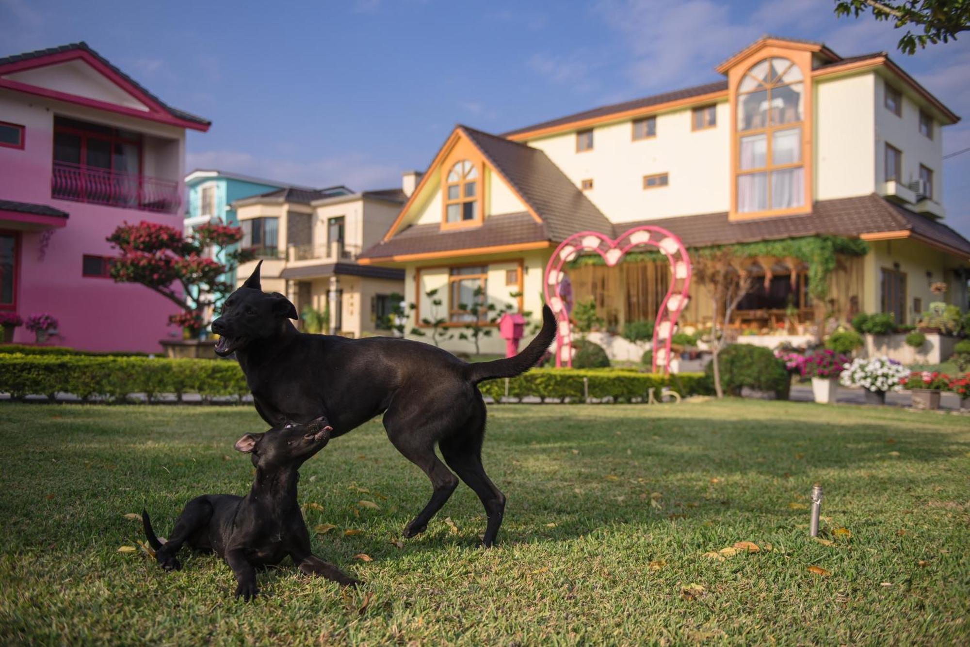 Xinfu Traveler Inn Taiping  Buitenkant foto