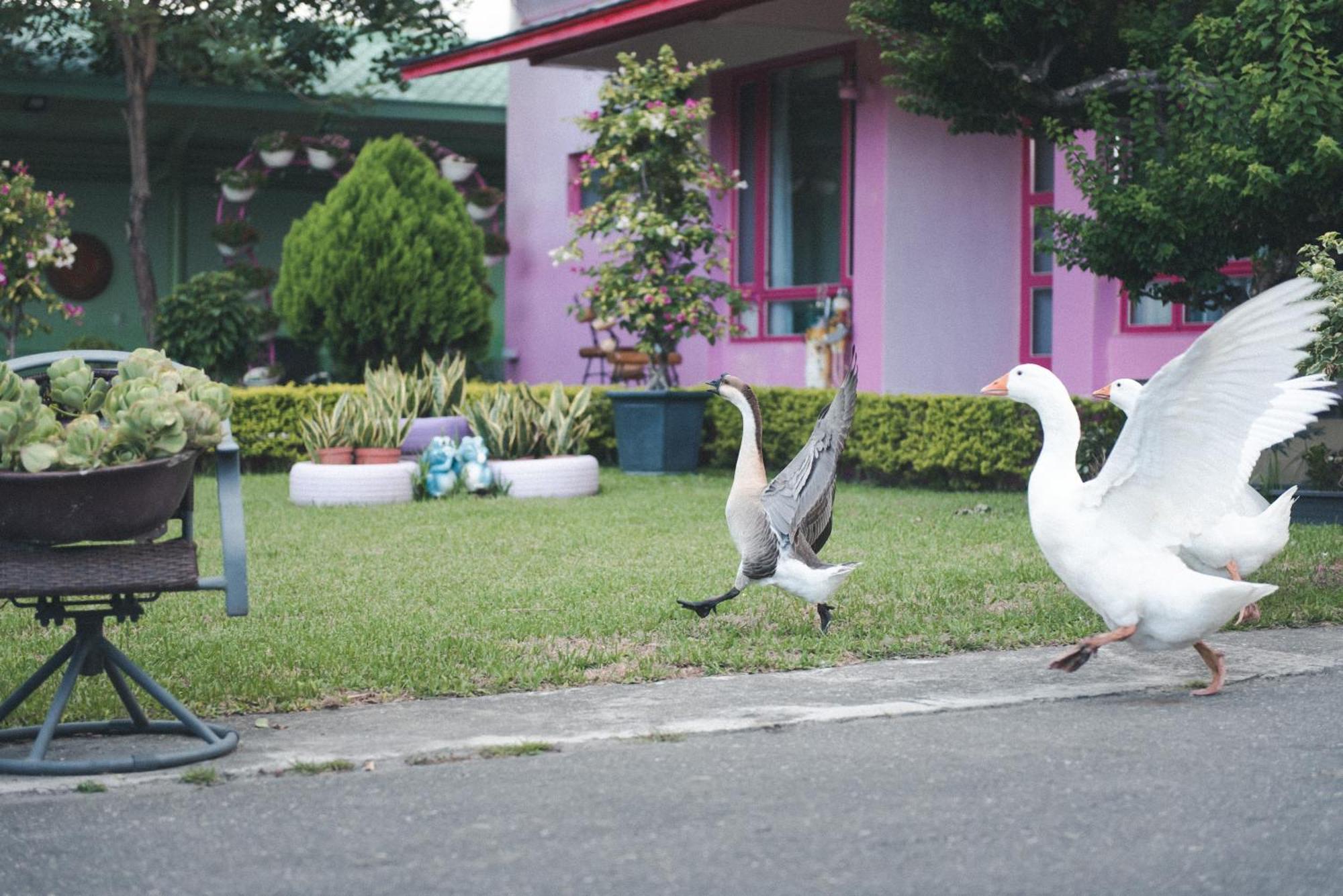 Xinfu Traveler Inn Taiping  Buitenkant foto