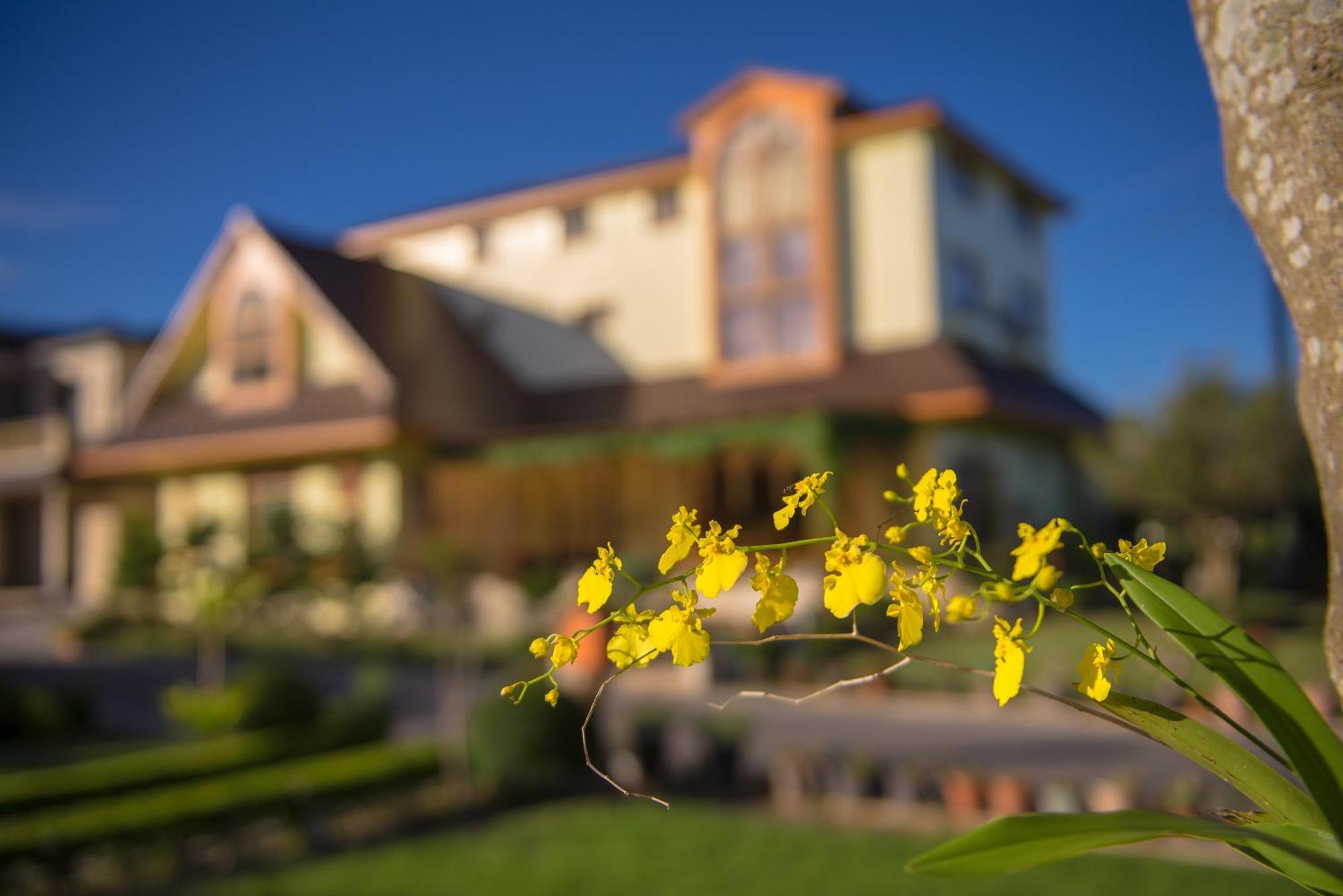 Xinfu Traveler Inn Taiping  Buitenkant foto