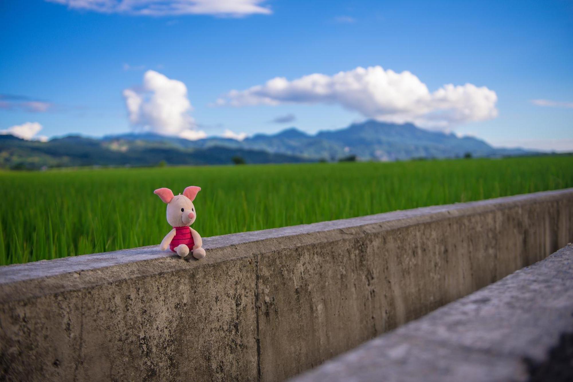 Xinfu Traveler Inn Taiping  Buitenkant foto