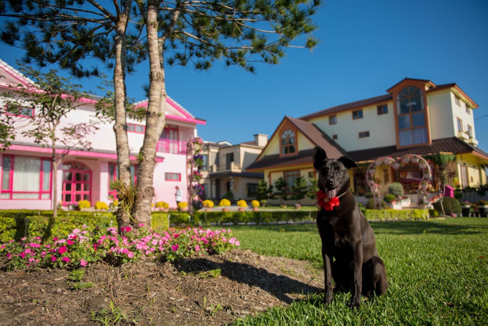 Xinfu Traveler Inn Taiping  Buitenkant foto